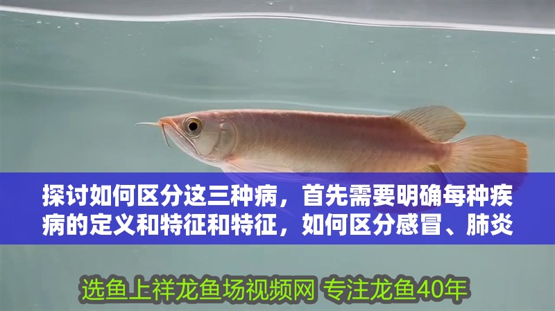 探討如何區(qū)分這三種病，首先需要明確每種疾病的定義和特征和特征，如何區(qū)分感冒、肺炎、肺炎、肺炎、肺炎？