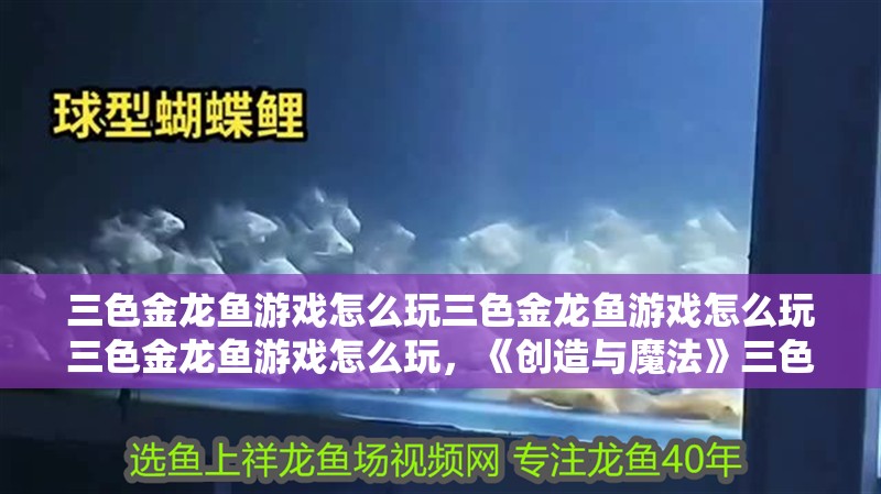三色金龍魚游戲怎么玩三色金龍魚游戲怎么玩三色金龍魚游戲怎么玩，《創造與魔法》三色金龍魚游戲怎么玩