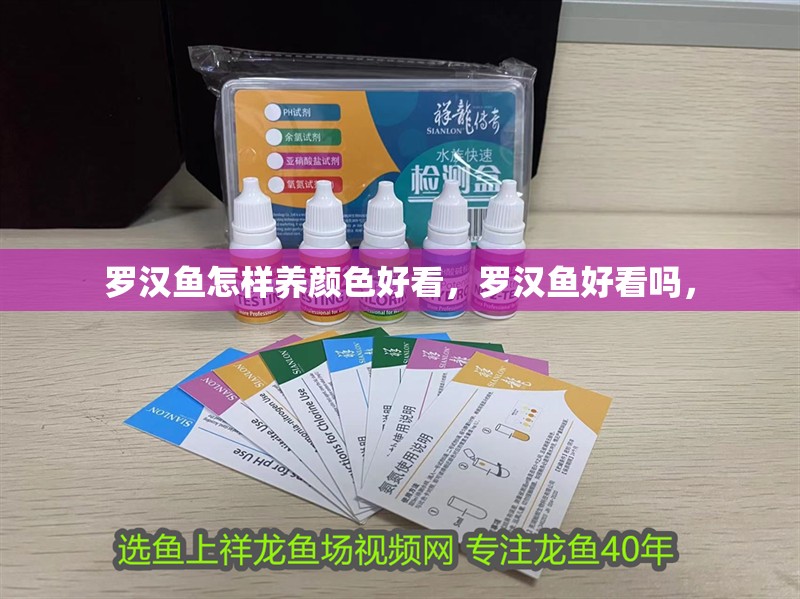 羅漢魚怎樣養(yǎng)顏色好看，羅漢魚好看嗎，