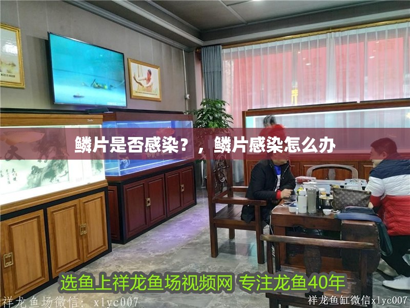 鱗片是否感染？，鱗片感染怎么辦