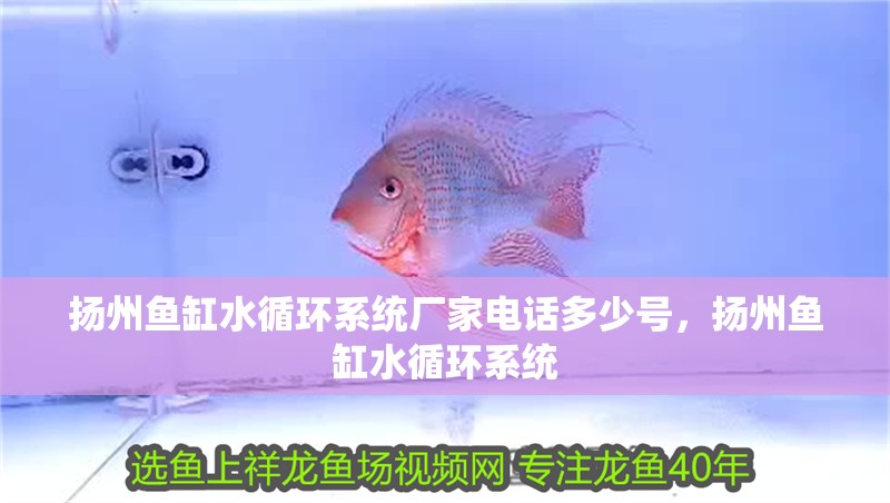 揚州魚缸水循環系統廠家電話多少號，揚州魚缸水循環系統