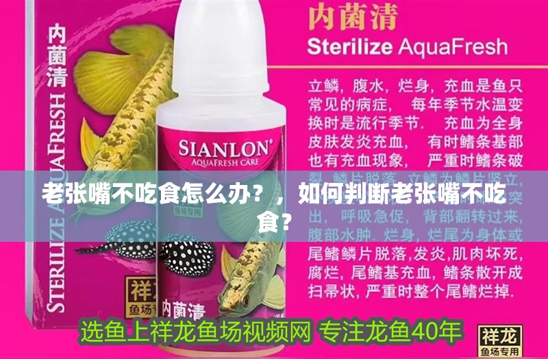 老張嘴不吃食怎么辦？，如何判斷老張嘴不吃食？