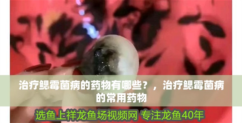治療鰓霉菌病的藥物有哪些？，治療鰓霉菌病的常用藥物
