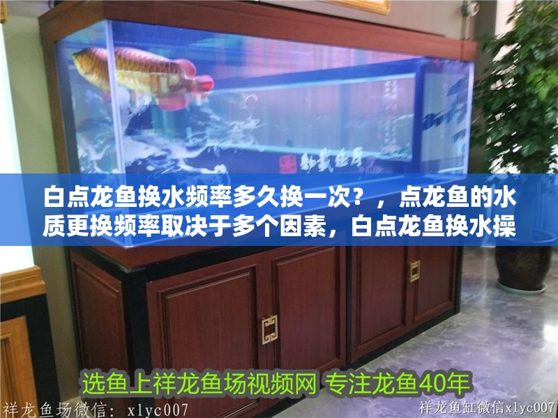白點龍魚換水頻率多久換一次？，點龍魚的水質更換頻率取決于多個因素，白點龍魚換水操作清單