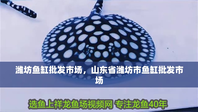 濰坊魚缸批發市場，山東省濰坊市魚缸批發市場