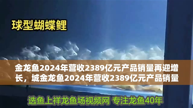 金龍魚2024年營收2389億元產品銷量再迎增長，城金龍魚2024年營收2389億元產品銷量再迎增長