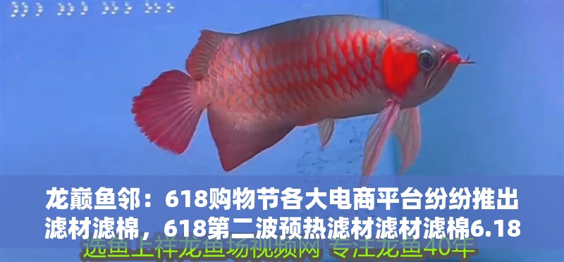 龍巔魚鄰：618購物節(jié)各大電商平臺紛紛推出濾材濾棉，618第二波預熱濾材濾材濾棉6.18感恩同行