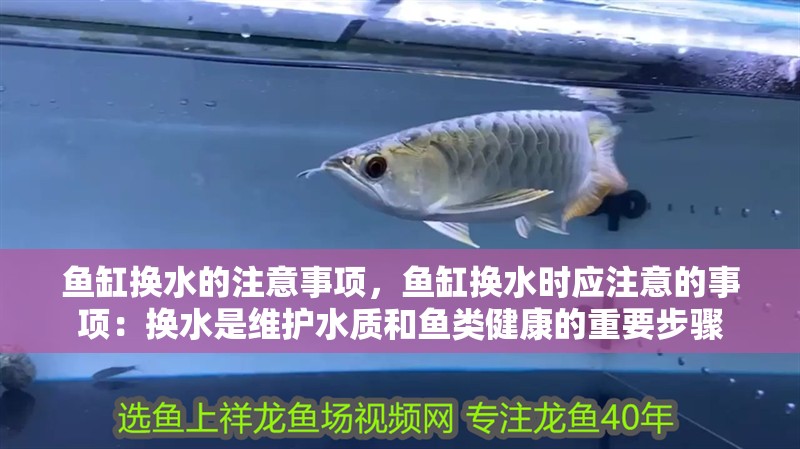 魚缸換水的注意事項，魚缸換水時應注意的事項：換水是維護水質和魚類健康的重要步驟