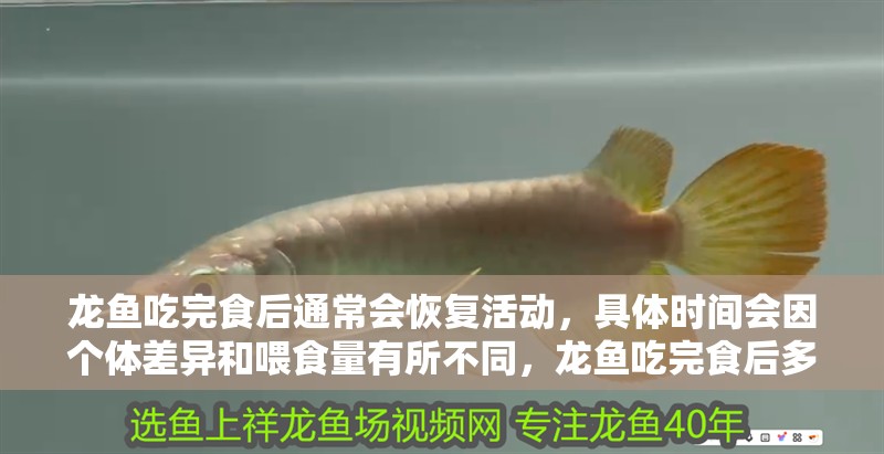 龍魚吃完食后通常會恢復活動，具體時間會因個體差異和喂食量有所不同，龍魚吃完食后多久會消化？