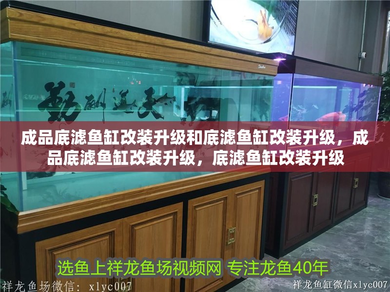 成品底濾魚缸改裝升級和底濾魚缸改裝升級，成品底濾魚缸改裝升級，底濾魚缸改裝升級