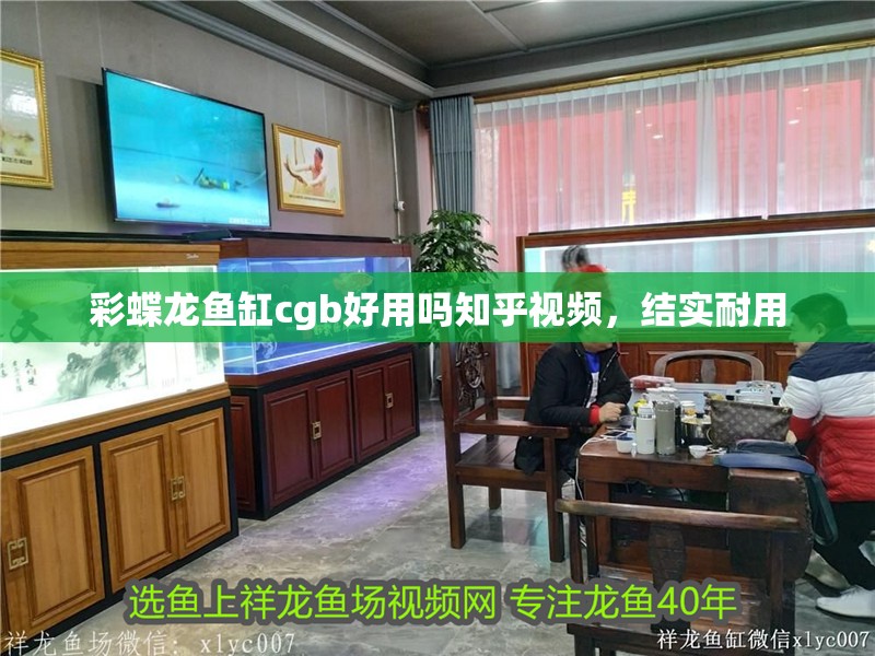 彩蝶龍魚缸cgb好用嗎知乎視頻，結實耐用