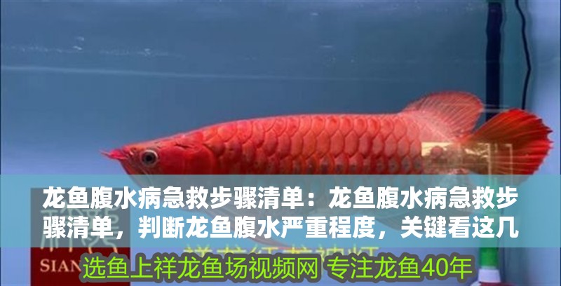 龍魚腹水病急救步驟清單：龍魚腹水病急救步驟清單，判斷龍魚腹水嚴重程度，關鍵看這幾點，龍魚腹水病急救步驟清單
