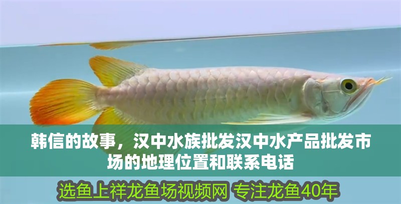 韓信的故事，漢中水族批發漢中水產品批發市場的地理位置和聯系電話
