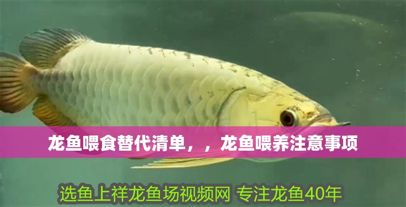 龍魚喂食替代清單，，龍魚喂養注意事項