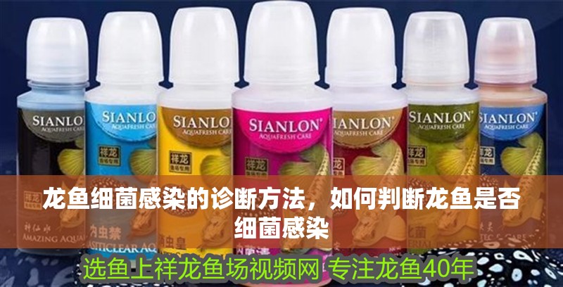 龍魚細菌感染的診斷方法，如何判斷龍魚是否細菌感染