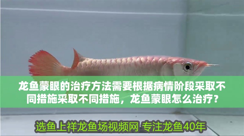 龍魚蒙眼的治療方法需要根據病情階段采取不同措施采取不同措施，龍魚蒙眼怎么治療？