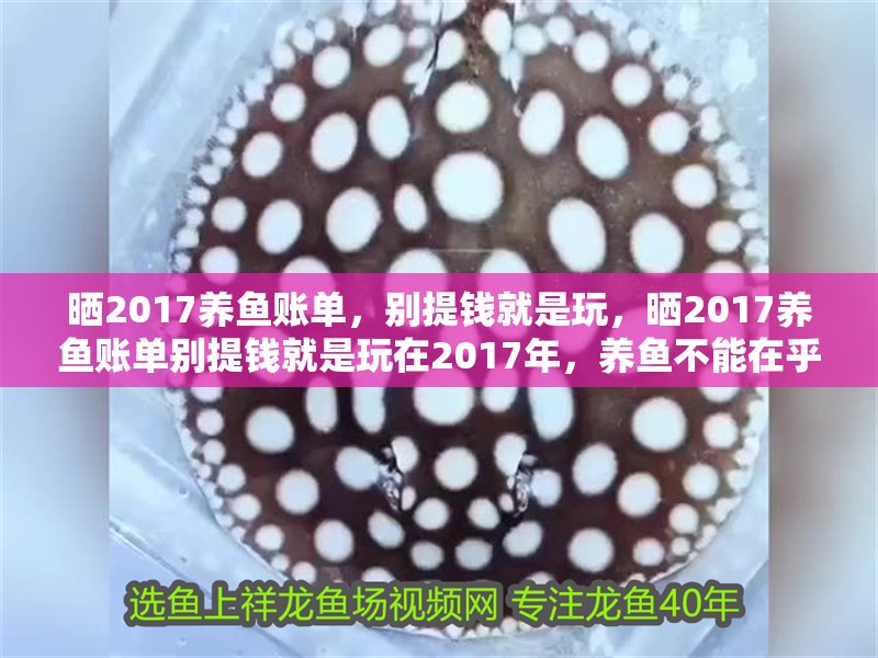 曬2017養魚賬單，別提錢就是玩，曬2017養魚賬單別提錢就是玩在2017年，養魚不能在乎錢