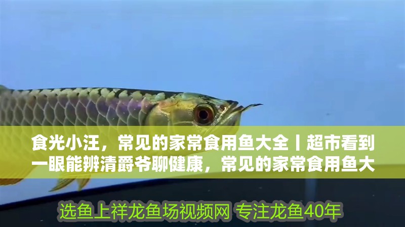 食光小汪，常見的家常食用魚大全丨超市看到一眼能辨清爵爺聊健康，常見的家常食用魚大全丨超市看到一眼能辨清爵爺聊健康