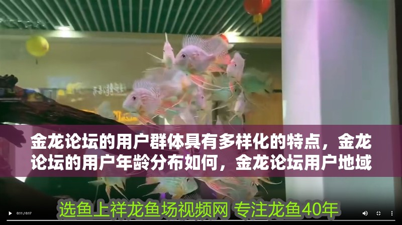 金龍論壇的用戶群體具有多樣化的特點，金龍論壇的用戶年齡分布如何，金龍論壇用戶地域分布