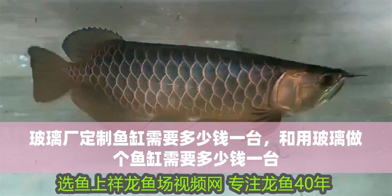 玻璃廠定制魚缸需要多少錢一臺(tái)，和用玻璃做個(gè)魚缸需要多少錢一臺(tái)