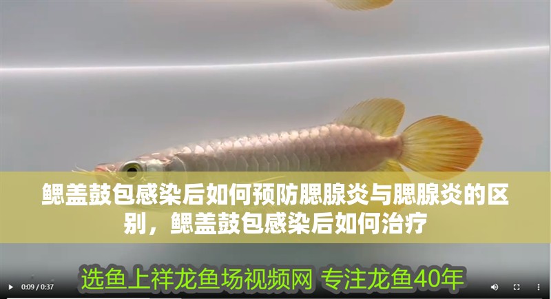 鰓蓋鼓包感染后如何預防腮腺炎與腮腺炎的區別，鰓蓋鼓包感染后如何治療