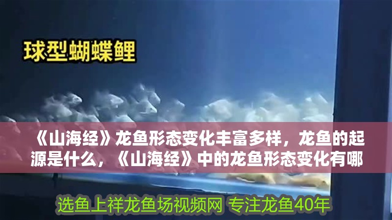 《山海經(jīng)》龍魚形態(tài)變化豐富多樣，龍魚的起源是什么，《山海經(jīng)》中的龍魚形態(tài)變化有哪些？