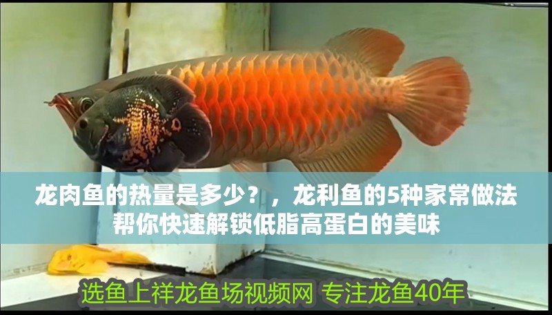 龍肉魚的熱量是多少？，龍利魚的5種家常做法幫你快速解鎖低脂高蛋白的美味