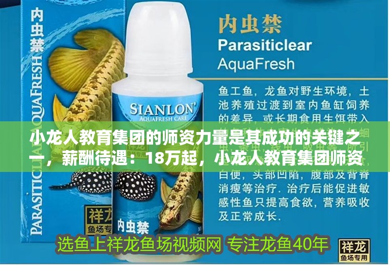 小龍人教育集團的師資力量是其成功的關鍵之一，薪酬待遇：18萬起，小龍人教育集團師資力量突出，年薪18萬起吸引優秀教師