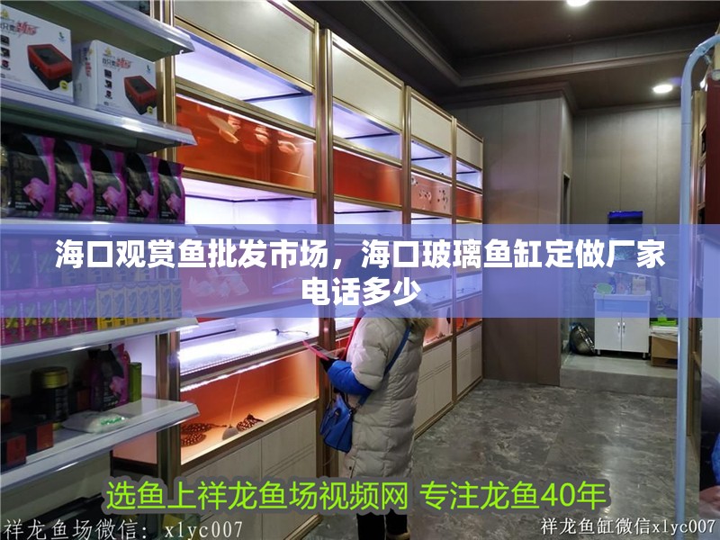海口觀賞魚批發(fā)市場，海口玻璃魚缸定做廠家電話多少