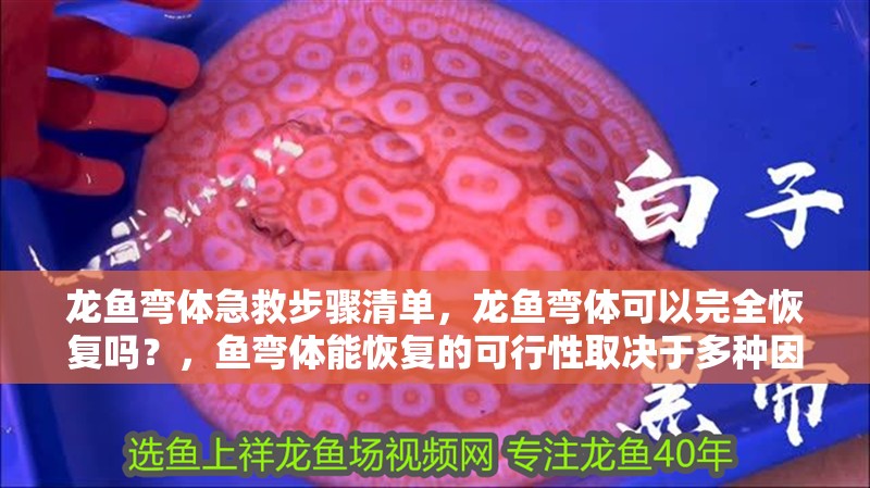 龍魚(yú)彎體急救步驟清單，龍魚(yú)彎體可以完全恢復(fù)嗎？，魚(yú)彎體能恢復(fù)的可行性取決于多種因素取決于多種因素