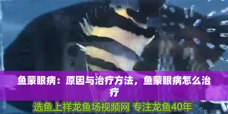 魚蒙眼病：原因與治療方法，魚蒙眼病怎么治療