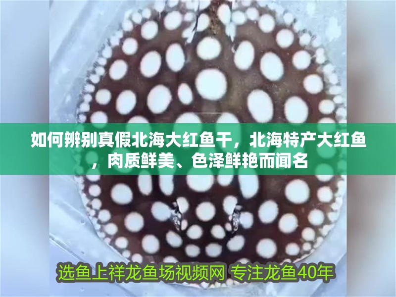 如何辨別真假北海大紅魚干，北海特產大紅魚，肉質鮮美、色澤鮮艷而聞名