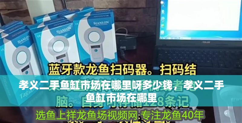 孝義二手魚缸市場在哪里呀多少錢，孝義二手魚缸市場在哪里