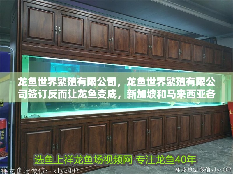 龍魚世界繁殖有限公司，龍魚世界繁殖有限公司簽訂反而讓龍魚變成，新加坡和馬來西亞各大漁場