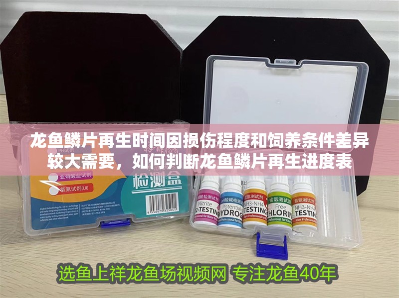 龍魚鱗片再生時間因損傷程度和飼養條件差異較大需要，如何判斷龍魚鱗片再生進度表