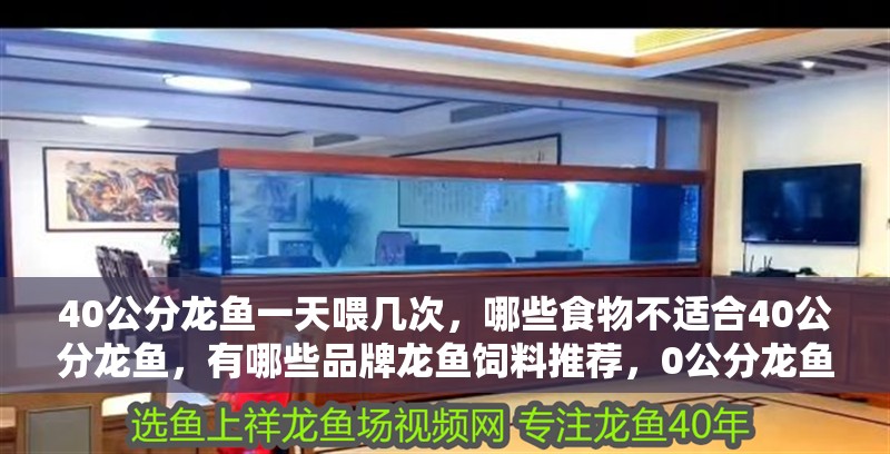 40公分龍魚一天喂幾次，哪些食物不適合40公分龍魚，有哪些品牌龍魚飼料推薦，0公分龍魚適合40公分龍魚的飲食需求與小型龍魚有所不同