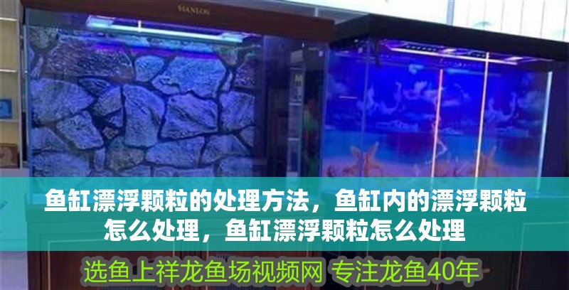 魚缸漂浮顆粒的處理方法，魚缸內的漂浮顆粒怎么處理，魚缸漂浮顆粒怎么處理