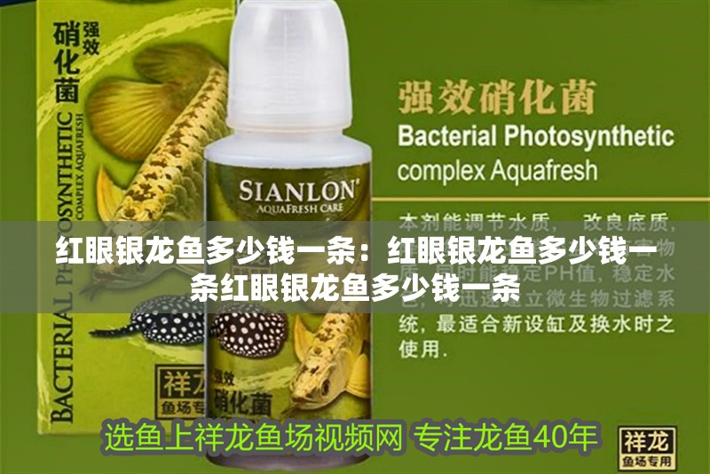 紅眼銀龍魚(yú)多少錢(qián)一條：紅眼銀龍魚(yú)多少錢(qián)一條紅眼銀龍魚(yú)多少錢(qián)一條