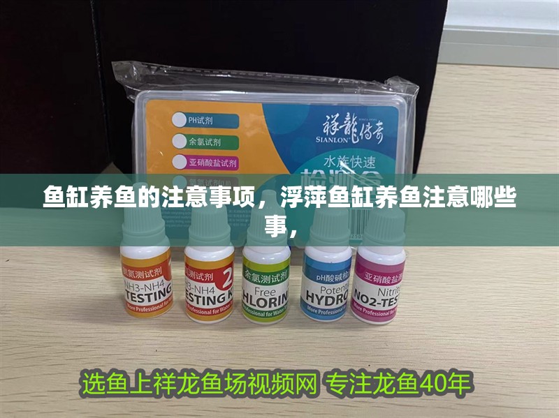 魚缸養(yǎng)魚的注意事項，浮萍魚缸養(yǎng)魚注意哪些事，