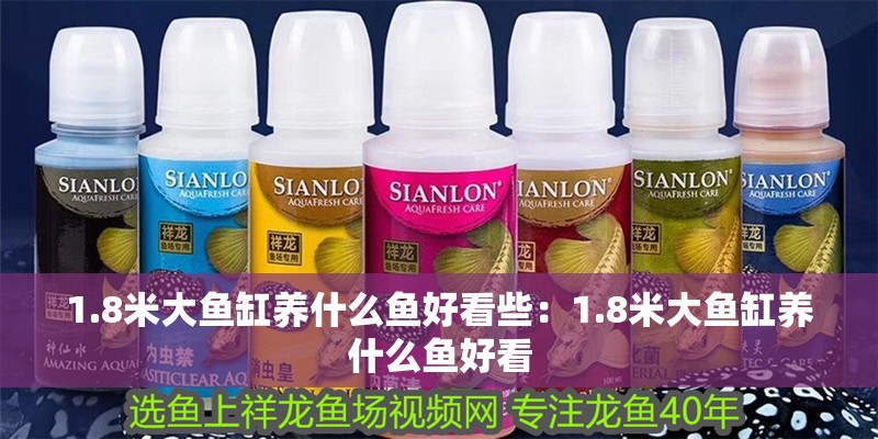 1.8米大魚缸養什么魚好看些：1.8米大魚缸養什么魚好看