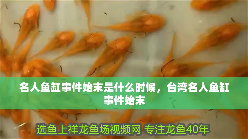 名人魚缸事件始末是什么時(shí)候，臺(tái)灣名人魚缸事件始末