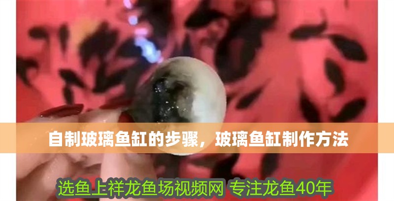 自制玻璃魚缸的步驟，玻璃魚缸制作方法