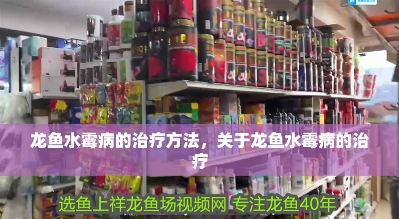 龍魚水霉病的治療方法，關于龍魚水霉病的治療
