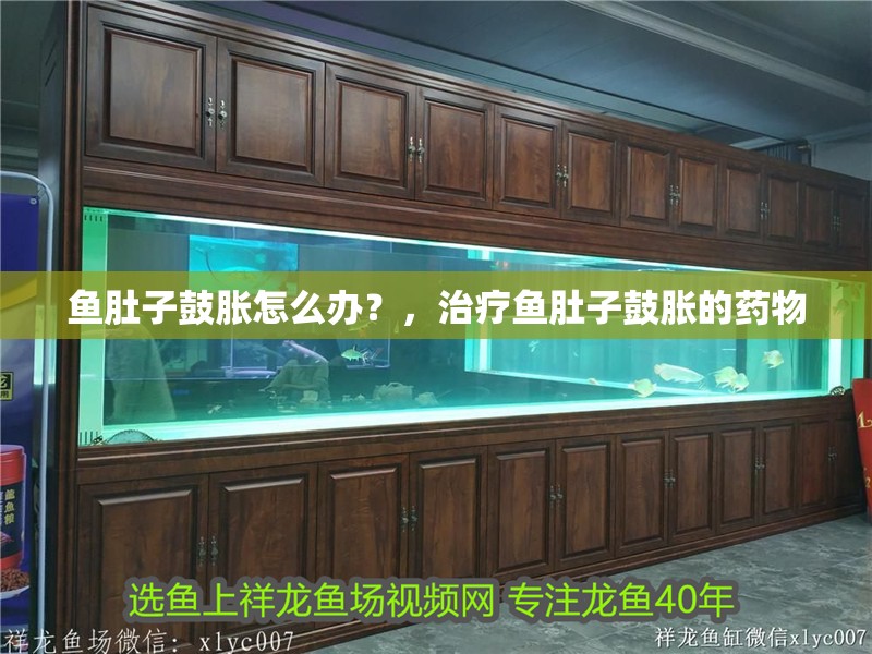 魚肚子鼓脹怎么辦？，治療魚肚子鼓脹的藥物