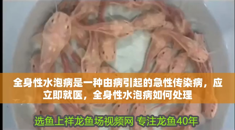 全身性水泡病是一種由病引起的急性傳染病，應立即就醫，全身性水泡病如何處理