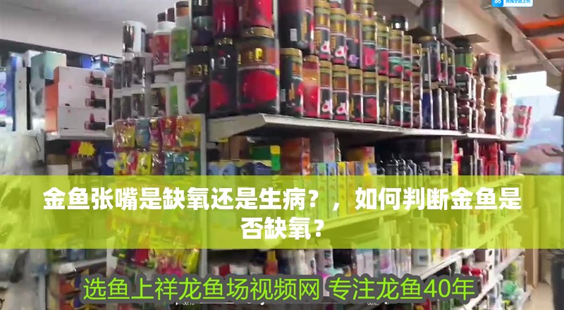 金魚張嘴是缺氧還是生病？，如何判斷金魚是否缺氧？