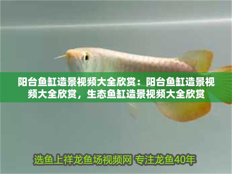陽臺魚缸造景視頻大全欣賞：陽臺魚缸造景視頻大全欣賞，生態魚缸造景視頻大全欣賞