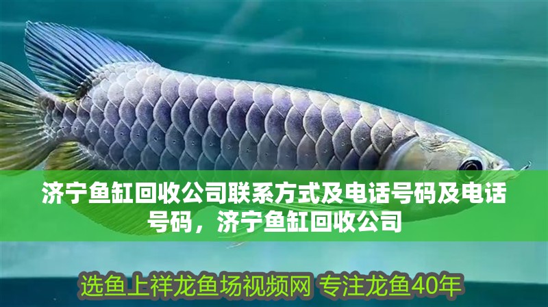 濟寧魚缸回收公司聯系方式及電話號碼及電話號碼，濟寧魚缸回收公司