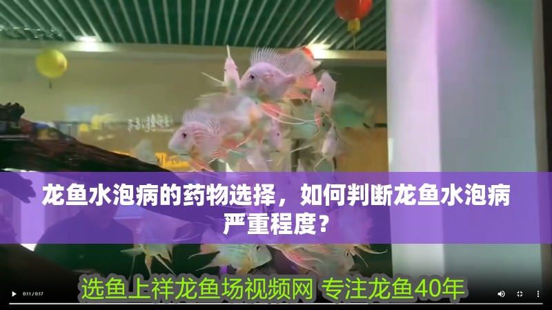龍魚水泡病的藥物選擇，如何判斷龍魚水泡病嚴重程度？