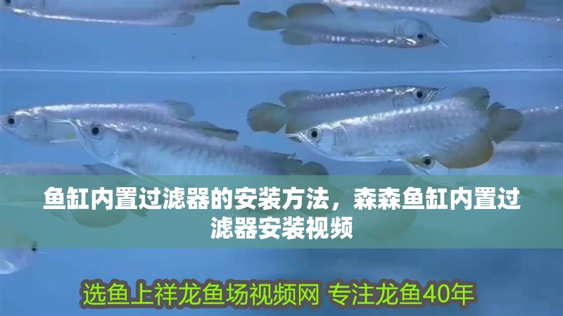 魚(yú)缸內(nèi)置過(guò)濾器的安裝方法，森森魚(yú)缸內(nèi)置過(guò)濾器安裝視頻